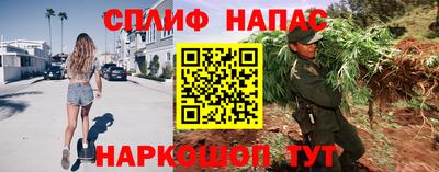 не бодяженный Камышлов